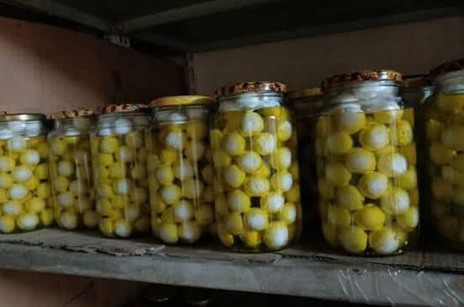 photo_2025-09-29_15-27-06