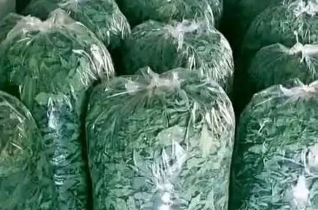 photo_2025-09-29_15-27-13