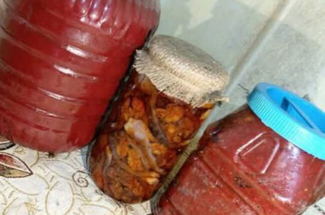 photo_2025-09-29_15-27-18