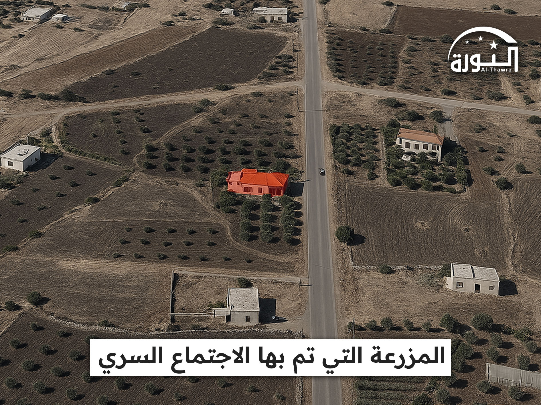 السويداء