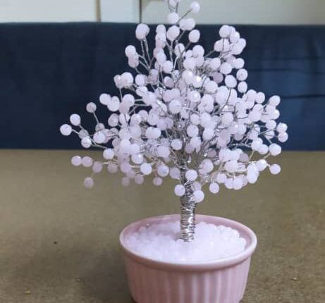 photo_٢٠٢٥-١٠-٢٩_١٣-٤١-٠١