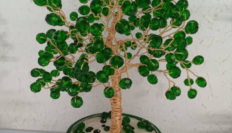 photo_٢٠٢٥-١٠-٢٩_١٣-٤١-٠٥