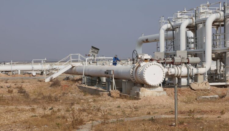 photo_2025-11-17_05-10-08